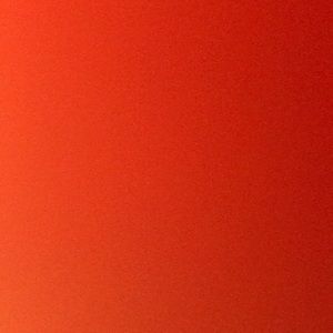 Meet your Posher, Jackson